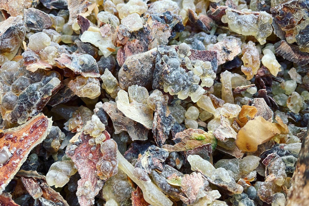 NUオーガニック　クレンジング、化粧水、美容液3点セット Nu / Nu Organic Moist Cleansingの公式商品情報｜美容・化粧品